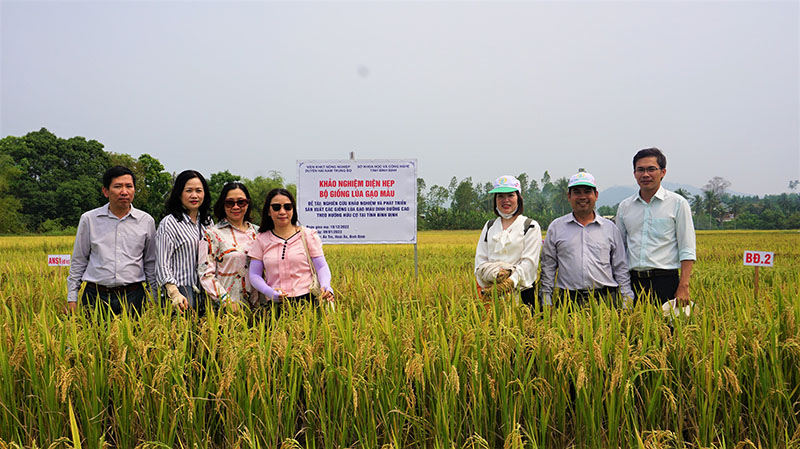 Cà Mau Mô hình lúa  tôm sú đạt chứng nhận ASC đầu tiên của Việt Nam